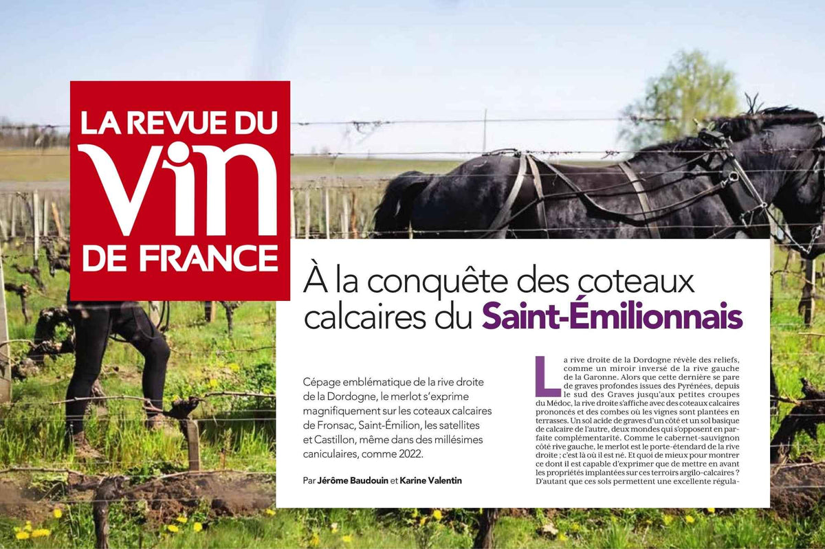 A la conquête des coteaux calcaires du Saint-Emilionnais