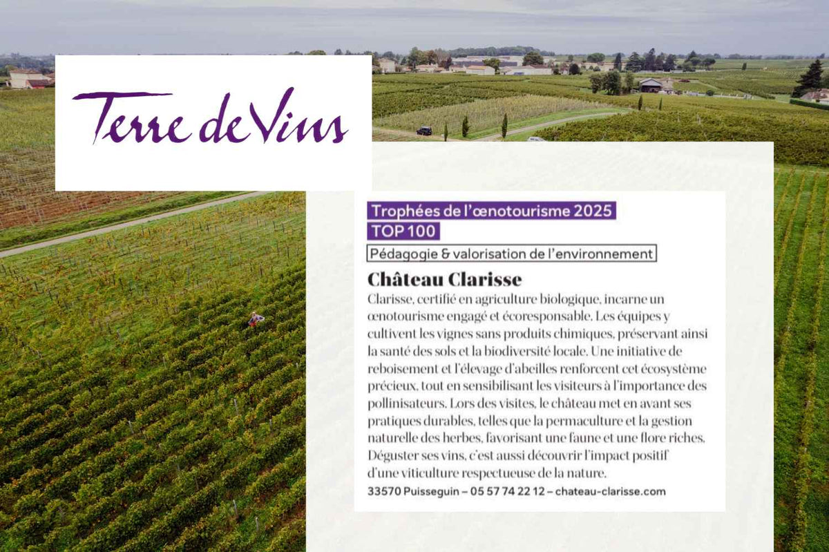 Article Terre de Vins, mai 2025 : vignes de Château Clarisse au lever du soleil, mention Top 100 œnotourisme 2025