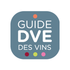 Guide DVE